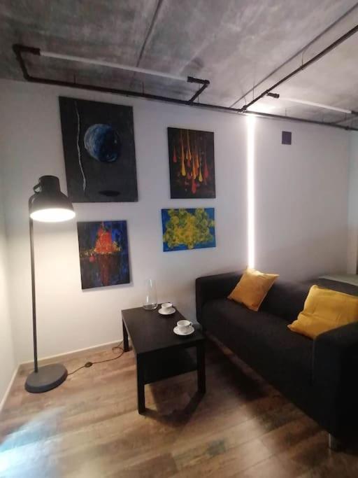 Erdvi Studija Spacious Studio Apartment Self Check In VNO Esterno foto